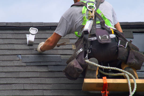 Best Roof Gutter Cleaning  in Sioux City, IA